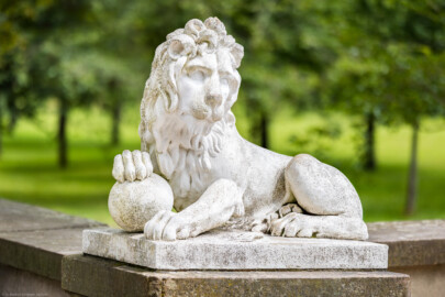 Schloss und Schlossgarten Schwetzingen - Garten - Löwenallee / Zugang zum Türkischen Garten / Nähe Südwestecke der Südlichen Angloise - Von Nordwest - Blick auf den östlichen der beiden Löwen; Kopf seitwärts gedreht, rechte Pranke auf Kugel ruhend, Schwanz zwischen Hinterbeinen nach vorne geführt (Bildhauer: Peter Anton von Verschaffelt (1710-1793); Datierung: 1766-73; Löwe Teil einer Vierergruppe an den Enden der Löwenallee; Material: gelber Sandstein; Fassung: Weiß; Abmessungen: Höhe ca. 90 cm, Sockel Höhe 110 cm / Breite 72 cm) (aufgenommen im Juli 2024, am Nachmittag)