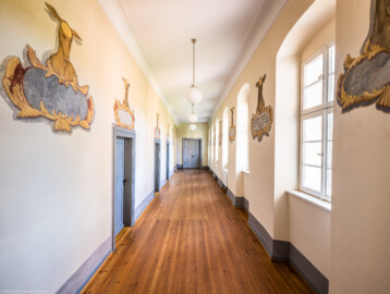 Schloss und Schlossgarten Schwetzingen - Schloss - Südflügel / Hofdamenflügel - Querbau - Von Innen - Obergeschoss - Gang - Von Norden - Blick nach Süden in den Gang des Querbaus, auf Türen, Fenster und auf "Hirschkartuschen"; Gemälde dienten der Erinnerung an Jagden; Datierung der Gemälde: zwischen 1713 und 1720 unter dem Kurfürsten Johann Wilhelm (1658-1716, reg. 1690-1716) oder Karl III. Philipp (1661-1742, reg. 1716-1742); Malerei in Fresco-Technik; Ovale im Stirnbereich der Hirsche dienten der Anbringung der Hirschgeweihe; Malereien vermutlich in jüngerer Zeit überstrichen  (Südflügel: L-förmig, Länge x Breite Längsbau ca. 50 x 14 Meter, Querbau ca. 15 x 11 Meter,; Architekt: Johann Adam Breunig (1660-1727); Fertigstellung: 1710, letzte Renovierung: 2009-2012) (aufgenommen im August 2024, am frühen Nachmittag)