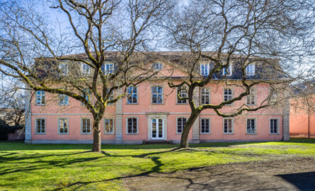 Schloss und Schlossgarten Schwetzingen - Garten - Gesandtenhaus (ehemaliges Prinzenhaus) / Amtsgericht - Von Nordwest - Blick vom Gesandtenhausgarten auf die Nordwestfassade und das rückseitige Portal des Gesandtenhauses; ganz rechts die Rückseite des nördlichen Zirkelbaus; die beiden Bäume in der Bildmitte sind Schnurbäume (Sophora japonica, Baum-Nr. 72 und 73) (Nutzung: Wohnungen für Angehörige der kurfürstlichen Familie, ausländische Besucher, Nicolas de Pigage (1723-1796), Friedrich Ludwig Skell (1750-1823), Johann Michael Zeyher (1770-1843), Sterbeort von Johann Peter Hebel (1760-1826), ab 1805 Amtsgericht) (Bau: Länge x Breite: ca. 40 x 17 Meter; Bauzeit: um 1723; Architekt: unbekannt) (aufgenommen im März 2025, am frühen Nachmittag)