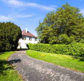 Schloss und Schlossgarten Schwetzingen - Sonstige Bauten - Altes Forstamt (Forsthausstraße 11) - Garten - Von Südwest - Blick vom Garten (neben dem Weg zwischen dem Forstamt und der Zähringerstraße) nach Nordosten auf das alte Forstamt; der Baum links ist eine Eibe (Taxus baccata), der große Baum rechts ist ein echter Walnußbaum (Juglans regia) (aufgenommen im April 2025, am Nachmittag)