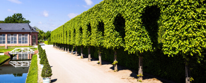 Schloss und Schlossgarten Schwetzingen - Garten - Orangeriegarten - Östliche Arkadenreihe / Östlicher Kanal - Von Süden - Blick von der Südostecke des Orangeriegartens nach Norden auf die östliche Arkadenreihe (rechts) und auf den östlichen Kanal (links) mit der Brücke; Im Hintergrund links das Glashaus der Neuen Orangerie (aufgenommen im April 2025, am Nachmittag) Schloss und Schlossgarten Schwetzingen - Garten - Orangeriegarten - Östliche Arkadenreihe / Östlicher Kanal - Von Süden - Blick von der Südostecke des Orangeriegartens nach Norden auf die östliche Arkadenreihe (rechts) und auf den östlichen Kanal (links) mit der Brücke; Im Hintergrund links das Glashaus der Neuen Orangerie (aufgenommen im April 2025, am Nachmittag)