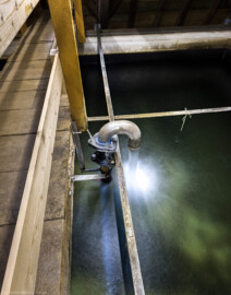 Schloss und Schlossgarten Schwetzingen - Sonstige Bauten - Oberes Wasserwerk - Wasserturm - Von innen - Dachstuhl - Von Norden - Blick von der Mitte des Laufstegs über das Wasserbecken nach unten auf das Ende der Steigleitung mit dem U-förmigen Wasserzulauf; geschätzte Abmessungen des Behälters: Länge x Breite x Höhe 8 x 8 x 3 Meter, Fassungsvermögen ca. 170 Kubikmeter, Höhe über Boden ca. 17 Meter (Gesamte Anlage Brunnenstube, Pumpenstube, Räderwerk, Wasserturm und Kühlhaus): Länge x Breite: ca. 30 x 29 Meter, Wasserturm: Länge x Breite: ca. 14 x 14 Meter, Firsthöhe ca. 24 Meter; Bauzeit Anlage: um 1774, Gesamtinstandsetzung: 1994–2000; Architekt: Nicolas de Pigage, Brunnenmeister: Thomas Breuer) (aufgenommen im Juni 2025, am frühen Nachmittag) Schloss und Schlossgarten Schwetzingen - Sonstige Bauten - Oberes Wasserwerk - Wasserturm - Von innen - Dachstuhl - Von Norden - Blick von der Mitte des Laufstegs über das Wasserbecken nach unten auf das Ende der Steigleitung mit dem U-förmigen Wasserzulauf; geschätzte Abmessungen des Behälters: Länge x Breite x Höhe 8 x 8 x 3 Meter, Fassungsvermögen ca. 170 Kubikmeter, Höhe über Boden ca. 17 Meter (Gesamte Anlage Brunnenstube, Pumpenstube, Räderwerk, Wasserturm und Kühlhaus): Länge x Breite: ca. 30 x 29 Meter, Wasserturm: Länge x Breite: ca. 14 x 14 Meter, Firsthöhe ca. 24 Meter; Bauzeit Anlage: um 1774, Gesamtinstandsetzung: 1994–2000; Architekt: Nicolas de Pigage, Brunnenmeister: Thomas Breuer) (aufgenommen im Juni 2025, am frühen Nachmittag)