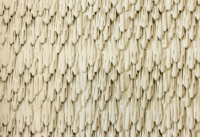 Schloss und Schlossgarten Schwetzingen - Garten - Badhaus - Von innen - Ovalsaal - Türen - Von Westen - Blick auf Tropfenstuck in der östlichen Laibung der nördlichen Tür (Bildhauer: Giuseppe Antonio Pozzi (1732–1811) zugeschrieben) (Gesamter Bau: Länge x Breite ca. 18 x 14 Meter, Höhe ca. 10 Meter; Architekt: Nicolas de Pigage (1723-1796); Bauzeit: 1768-1772; Gesamtinstandsetzung innen und außen: 1999-2006) (aufgenommen im Oktober 2025, am späten Nachmittag) Schloss und Schlossgarten Schwetzingen - Garten - Badhaus - Von innen - Ovalsaal - Türen - Von Westen - Blick auf Tropfenstuck in der östlichen Laibung der nördlichen Tür (Bildhauer: Giuseppe Antonio Pozzi (1732–1811) zugeschrieben) (Gesamter Bau: Länge x Breite ca. 18 x 14 Meter, Höhe ca. 10 Meter; Architekt: Nicolas de Pigage (1723-1796); Bauzeit: 1768-1772; Gesamtinstandsetzung innen und außen: 1999-2006) (aufgenommen im Oktober 2025, am späten Nachmittag)