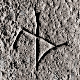 Schloss und Schlossgarten Schwetzingen - Schloss - Mittelbau - Von innen - Erdgeschoss, Nordseite - Besucherzentrum / ehemaliger Hochkeller - 2. Gurtbogen von Osten - Blick auf das 7. Steinmetzzeichen (von Süden und von unten aus gezählt) (Raum: Länge x Breite: ca. 16 x 6 Meter, Höhe (bis Schlussstein): ca. 3,5 Meter; 4 Joche, 3 Gurtbögen, 3 Kreuzrippengewölbe, ein Kreuzgratgewölbe im Osten; Nordwand: 2 Fenster, 2 vermauerte Öffnungen, Standerker: 1 kleines Fenster, Südwand: 3 Türen, Ostwand: verschlossene Durchgangstür) (Mittelbau: Länge Westseite ca. 45 Meter, Breite Süd-/Nordseite ca. 38 Meter; Wiederaufbau / Erweiterung: 1698-1717; Architekt: Johann Adam Breunig) (aufgenommen im November 2025, am frühen Nachmittag) Schloss und Schlossgarten Schwetzingen - Schloss - Mittelbau - Von innen - Erdgeschoss, Nordseite - Besucherzentrum / ehemaliger Hochkeller - 2. Gurtbogen von Osten - Blick auf das 7. Steinmetzzeichen (von Süden und von unten aus gezählt) (Raum: Länge x Breite: ca. 16 x 6 Meter, Höhe (bis Schlussstein): ca. 3,5 Meter; 4 Joche, 3 Gurtbögen, 3 Kreuzrippengewölbe, ein Kreuzgratgewölbe im Osten; Nordwand: 2 Fenster, 2 vermauerte Öffnungen, Standerker: 1 kleines Fenster, Südwand: 3 Türen, Ostwand: verschlossene Durchgangstür) (Mittelbau: Länge Westseite ca. 45 Meter, Breite Süd-/Nordseite ca. 38 Meter; Wiederaufbau / Erweiterung: 1698-1717; Architekt: Johann Adam Breunig) (aufgenommen im November 2025, am frühen Nachmittag)