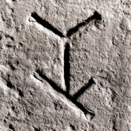 Schloss und Schlossgarten Schwetzingen - Schloss - Mittelbau - Von innen - Erdgeschoss, Nordseite - Besucherzentrum / ehemaliger Hochkeller - 1. Gurtbogen von Osten - Blick auf das 9. Steinmetzzeichen (von Süden und von unten aus gezählt) (Raum: Länge x Breite: ca. 16 x 6 Meter, Höhe (bis Schlussstein): ca. 3,5 Meter; 4 Joche, 3 Gurtbögen, 3 Kreuzrippengewölbe, ein Kreuzgratgewölbe im Osten; Nordwand: 2 Fenster, 2 vermauerte Öffnungen, Standerker: 1 kleines Fenster, Südwand: 3 Türen, Westwand: verschlossene Durchgangstür) (Mittelbau: Länge Westseite ca. 45 Meter, Breite Süd-/Nordseite ca. 38 Meter; Wiederaufbau / Erweiterung: 1698-1717; Architekt: Johann Adam Breunig) (aufgenommen im November 2025, am Nachmittag) Schloss und Schlossgarten Schwetzingen - Schloss - Mittelbau - Von innen - Erdgeschoss, Nordseite - Besucherzentrum / ehemaliger Hochkeller - 1. Gurtbogen von Osten - Blick auf das 9. Steinmetzzeichen (von Süden und von unten aus gezählt) (Raum: Länge x Breite: ca. 16 x 6 Meter, Höhe (bis Schlussstein): ca. 3,5 Meter; 4 Joche, 3 Gurtbögen, 3 Kreuzrippengewölbe, ein Kreuzgratgewölbe im Osten; Nordwand: 2 Fenster, 2 vermauerte Öffnungen, Standerker: 1 kleines Fenster, Südwand: 3 Türen, Westwand: verschlossene Durchgangstür) (Mittelbau: Länge Westseite ca. 45 Meter, Breite Süd-/Nordseite ca. 38 Meter; Wiederaufbau / Erweiterung: 1698-1717; Architekt: Johann Adam Breunig) (aufgenommen im November 2025, am Nachmittag)