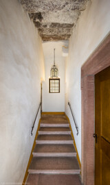 Schloss und Schlossgarten Schwetzingen - Schloss - Mittelbau - Von innen - Nördöstliches Treppenhaus, ganz unten - Von Osten - Blick vom ehemaligen achteckigen Treppenturm nach Westen auf die Treppe vom Besucherraum (dem ehemaligen Keller) in das Erdgeschoss; ganz oben die Unterseite der Sandsteintreppe in das 1. Obergeschoss; die Tür rechts führt in den Besucherraum, die Tür oben links (kaum sichtbar) in das Erdgeschoss des Treppenhauses; das Fenster in der Mitte gehört zur Vorhalle des Besucherraums (Mittelbau: Länge Westseite ca. 45 Meter, Breite Süd-/Nordseite ca. 38 Meter; Wiederaufbau / Erweiterung: 1698-1717; Architekt: Johann Adam Breunig) (aufgenommen im November 2025, am späten Nachmittag) Schloss und Schlossgarten Schwetzingen - Schloss - Mittelbau - Von innen - Nördöstliches Treppenhaus, ganz unten - Von Osten - Blick vom ehemaligen achteckigen Treppenturm nach Westen auf die Treppe vom Besucherraum (dem ehemaligen Keller) in das Erdgeschoss; ganz oben die Unterseite der Sandsteintreppe in das 1. Obergeschoss; die Tür rechts führt in den Besucherraum, die Tür oben links (kaum sichtbar) in das Erdgeschoss des Treppenhauses; das Fenster in der Mitte gehört zur Vorhalle des Besucherraums (Mittelbau: Länge Westseite ca. 45 Meter, Breite Süd-/Nordseite ca. 38 Meter; Wiederaufbau / Erweiterung: 1698-1717; Architekt: Johann Adam Breunig) (aufgenommen im November 2025, am späten Nachmittag)