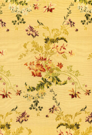 Schloss und Schlossgarten Schwetzingen - Schloss - Mittelbau - Von innen - 1. Obergeschoss - Appartment des Kurfürsten - Kabinett - Nordwand - Ausschnitt aus der Wandbespannung (der Tapete) aus Seidendamast mit Blumendekor (aufgenommen im Februar 2026, am späten Vormittag) Schloss und Schlossgarten Schwetzingen - Schloss - Mittelbau - Von innen - 1. Obergeschoss - Appartment des Kurfürsten - Kabinett - Nordwand - Ausschnitt aus der Wandbespannung (der Tapete) aus Seidendamast mit Blumendekor (aufgenommen im Februar 2026, am späten Vormittag)