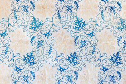 Schloss und Schlossgarten Schwetzingen - Schloss - Mittelbau - Von innen - 3. Obergeschoss - Östliche Räume - Raum 235 - Nordwand - Von Süden - Blick auf einen Ausschnitt der Tapete (aufgenommen im März 2026, am späten Nachmittag) Schloss und Schlossgarten Schwetzingen - Schloss - Mittelbau - Von innen - 3. Obergeschoss - Östliche Räume - Raum 235 - Nordwand - Von Süden - Blick auf einen Ausschnitt der Tapete (aufgenommen im März 2026, am späten Nachmittag)