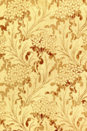 Schloss und Schlossgarten Schwetzingen - Schloss - Mittelbau - Von innen - 3. Obergeschoss - Östliche Räume - Raum 232 - Nordwand - Von Süden - Blick auf einen Ausschnitt der Tapete (aufgenommen im März 2026, am frühen Nachmittag) Schloss und Schlossgarten Schwetzingen - Schloss - Mittelbau - Von innen - 3. Obergeschoss - Östliche Räume - Raum 232 - Nordwand - Von Süden - Blick auf einen Ausschnitt der Tapete (aufgenommen im März 2026, am frühen Nachmittag)