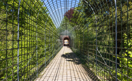 Schloss und Schlossgarten Schwetzingen - Garten - Badhausanlage - Perspektiv - Von Süden - Blick in den Laubengang (Berceau de treillage) zum Perspektiv / zum "Ende der Welt" (Perspektiv: Abmessungen Länge x Breite x Höhe: Laubengang ca. 40 x 3,5 x 4,5 Meter, Bau ca. 16 x 4,5 bis 11 x 6,5 Meter, Bildwand ca. 9 x 1 x 7,5 Meter; Fertigstellung: 1775, Gesamtinstandsetzung: 1988-1991, Restaurierung Laubengang: 2022; Architekt: Nicolas de Pigage) (aufgenommen im April 2026, am frühen Nachmittag)