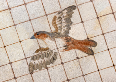 Schloss und Schlossgarten Schwetzingen - Garten - Badhausanlage - Perspektiv - Östlicher Flügel - Von unten - Blick auf einen fliegenden Vogel unter einem Gitter, darüber ein bewölkter Himmel, als Illusion einer Voliere (Perspektiv: Abmessungen Länge x Breite x Höhe: Laubengang ca. 40 x 3,5 x 4,5 Meter, Bau ca. 16 x 4,5 bis 11 x 6,5 Meter, Bildwand ca. 9 x 1 x 7,5 Meter; Fertigstellung: 1775, Gesamtinstandsetzung: 1988-1991, Restaurierung Laubengang: 2022; Architekt: Nicolas de Pigage) (aufgenommen im April 2026, am Nachmittag)