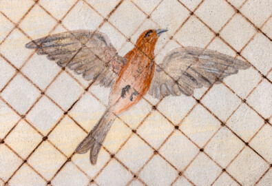 Schloss und Schlossgarten Schwetzingen - Garten - Badhausanlage - Perspektiv - Westlicher Flügel - Von unten - Blick auf einen fliegenden Vogel unter einem Gitter, darüber ein bewölkter Himmel, als Illusion einer Voliere (Perspektiv: Abmessungen Länge x Breite x Höhe: Laubengang ca. 40 x 3,5 x 4,5 Meter, Bau ca. 16 x 4,5 bis 11 x 6,5 Meter, Bildwand ca. 9 x 1 x 7,5 Meter; Fertigstellung: 1775, Gesamtinstandsetzung: 1988-1991, Restaurierung Laubengang: 2022; Architekt: Nicolas de Pigage) (aufgenommen im Mai 2026, um die Mittagszeit)