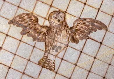 Schloss und Schlossgarten Schwetzingen - Garten - Badhausanlage - Perspektiv - Westlicher Flügel - Von unten - Blick auf einen fliegenden Vogel unter einem Gitter, darüber ein bewölkter Himmel, als Illusion einer Voliere (Perspektiv: Abmessungen Länge x Breite x Höhe: Laubengang ca. 40 x 3,5 x 4,5 Meter, Bau ca. 16 x 4,5 bis 11 x 6,5 Meter, Bildwand ca. 9 x 1 x 7,5 Meter; Fertigstellung: 1775, Gesamtinstandsetzung: 1988-1991, Restaurierung Laubengang: 2022; Architekt: Nicolas de Pigage) (aufgenommen im Mai 2026, am frühen Nachmittag)