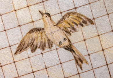 Schloss und Schlossgarten Schwetzingen - Garten - Badhausanlage - Perspektiv - Westlicher Flügel - Von unten - Blick auf einen fliegenden Vogel unter einem Gitter, darüber ein bewölkter Himmel, als Illusion einer Voliere (Perspektiv: Abmessungen Länge x Breite x Höhe: Laubengang ca. 40 x 3,5 x 4,5 Meter, Bau ca. 16 x 4,5 bis 11 x 6,5 Meter, Bildwand ca. 9 x 1 x 7,5 Meter; Fertigstellung: 1775, Gesamtinstandsetzung: 1988-1991, Restaurierung Laubengang: 2022; Architekt: Nicolas de Pigage) (aufgenommen im Mai 2026, am frühen Nachmittag)