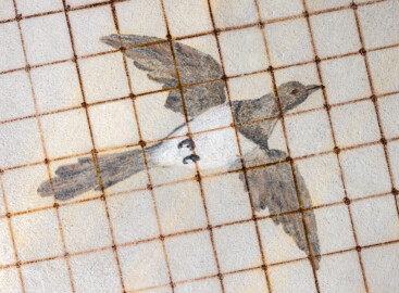 Schloss und Schlossgarten Schwetzingen - Garten - Badhausanlage - Perspektiv - Westlicher Flügel - Von unten - Blick auf einen fliegenden Vogel unter einem Gitter, darüber ein bewölkter Himmel, als Illusion einer Voliere (Perspektiv: Abmessungen Länge x Breite x Höhe: Laubengang ca. 40 x 3,5 x 4,5 Meter, Bau ca. 16 x 4,5 bis 11 x 6,5 Meter, Bildwand ca. 9 x 1 x 7,5 Meter; Fertigstellung: 1775, Gesamtinstandsetzung: 1988-1991, Restaurierung Laubengang: 2022; Architekt: Nicolas de Pigage) (aufgenommen im Mai 2026, am frühen Nachmittag)