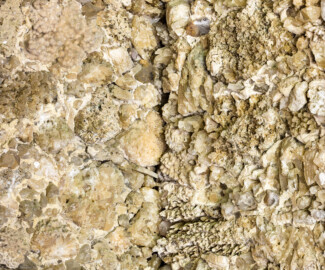 Schloss und Schlossgarten Schwetzingen - Garten - Badhausanlage - Östliches Achathäuschen - Von innen - Ostwand / Südwand - Ausschnitt aus der Südostecke; Wand inkrustiert mit Steinen, Mineralien und Kristallen (Bildhauer: Franz Conrad Linck (1730-1793), Datierung: um 1770-1775) (Achathäuschen: Abmessungen Breite x Tiefe x Höhe 3,2 x 3,0 x 6,4 Meter, Innenraum Breite x Tiefe ca. 2 x 2 Meter; Architekt: Nicolas de Pigage, Fertigstellung: um 1775, Instandsetzung: 1991 - 1995) (aufgenommen im Mai 2026, am späten Vormittag)
