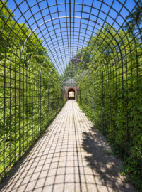 Schloss und Schlossgarten Schwetzingen - Garten - Badhausanlage - Perspektiv - Von Süden - Blick vom südlichen Beginn des Laubengangs (Berceau de treillage) zum Perspektiv / zum "Ende der Welt" (Perspektiv: Abmessungen Länge x Breite x Höhe: Laubengang ca. 40 x 3,5 x 4,5 Meter, Bau ca. 16 x 4,5 bis 11 x 6,5 Meter, Bildwand ca. 9 x 1 x 7,5 Meter; Fertigstellung: 1775, Gesamtinstandsetzung: 1988-1991, Restaurierung Laubengang: 2022; Architekt: Nicolas de Pigage) (aufgenommen im Mai 2026, am frühen Nachmittag)