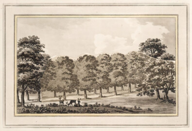 Schloss und Schlossgarten Schwetzingen - "VIII. The effect of removing trees, in the oblique view of an avenue at Langley Park." aus "Humphry Repton - Sketches and hints on landscape gardening - 1794" (Bildnachweis: University of Wisconsin, https://digital.library.wisc.edu/1711.dl/GRI3MYTLTX2GJ86, gemeinfrei) Schloss und Schlossgarten Schwetzingen - "VIII. The effect of removing trees, in the oblique view of an avenue at Langley Park." aus "Humphry Repton - Sketches and hints on landscape gardening - 1794" (Bildnachweis: University of Wisconsin, https://digital.library.wisc.edu/1711.dl/GRI3MYTLTX2GJ86, gemeinfrei)