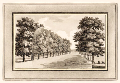 Schloss und Schlossgarten Schwetzingen - "IX. This view, taken from Hanslope Park, shows, that in looking along an avenue, it is not sufficient to cut down many of the trees to destroy its effect, unless the stems of those left be hidden by a thicket of thorns, holly, and brush-wood." aus "Humphry Repton - Sketches and hints on landscape gardening - 1794" (Bildnachweis: University of Wisconsin, https://digital.library.wisc.edu/1711.dl/GRI3MYTLTX2GJ86, gemeinfrei) Schloss und Schlossgarten Schwetzingen - "IX. This view, taken from Hanslope Park, shows, that in looking along an avenue, it is not sufficient to cut down many of the trees to destroy its effect, unless the stems of those left be hidden by a thicket of thorns, holly, and brush-wood." aus "Humphry Repton - Sketches and hints on landscape gardening - 1794" (Bildnachweis: University of Wisconsin, https://digital.library.wisc.edu/1711.dl/GRI3MYTLTX2GJ86, gemeinfrei)