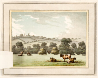 Schloss und Schlossgarten Schwetzingen - "XIII. A scene near the entrance of the grounds at Castle Hill, showing the effect of cattle, to mark the extent of a lawn which slopes from the eye — without such objects, the ground is lost, and foreshortened." aus "Humphry Repton - Sketches and hints on landscape gardening - 1794" (Bildnachweis: University of Wisconsin, https://digital.library.wisc.edu/1711.dl/GRI3MYTLTX2GJ86, gemeinfrei) Schloss und Schlossgarten Schwetzingen - "XIII. A scene near the entrance of the grounds at Castle Hill, showing the effect of cattle, to mark the extent of a lawn which slopes from the eye — without such objects, the ground is lost, and foreshortened." aus "Humphry Repton - Sketches and hints on landscape gardening - 1794" (Bildnachweis: University of Wisconsin, https://digital.library.wisc.edu/1711.dl/GRI3MYTLTX2GJ86, gemeinfrei)