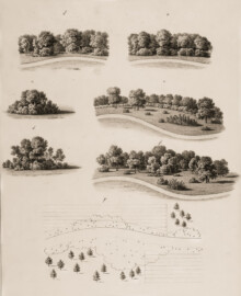 Schloss und Schlossgarten Schwetzingen - Oben und links: getadelte und empfohlene Effekte für Waldpflanzungen an den Wegen und Shrubberies mitten im Rasen / Rechts: Kantenpflanzung nach alter Art und nach des Herrn Nash Prinzip / Unten: schmale Fortsetzung der Pflanzung am Wegrand - Tafel 4 des Buchs "Hermann von Pückler-Muskau: Andeutungen über Landschaftsgärtnerei - Verbunden mit der Beschreibung ihrer praktischen Anwendung in Muskau - 1834" (Bildnachweis: https://doi.org/10.11588/diglit.1669, gemeinfrei) Schloss und Schlossgarten Schwetzingen - Oben und links: getadelte und empfohlene Effekte für Waldpflanzungen an den Wegen und Shrubberies mitten im Rasen / Rechts: Kantenpflanzung nach alter Art und nach des Herrn Nash Prinzip / Unten: schmale Fortsetzung der Pflanzung am Wegrand - Tafel 4 des Buchs "Hermann von Pückler-Muskau: Andeutungen über Landschaftsgärtnerei - Verbunden mit der Beschreibung ihrer praktischen Anwendung in Muskau - 1834" (Bildnachweis: https://doi.org/10.11588/diglit.1669, gemeinfrei)