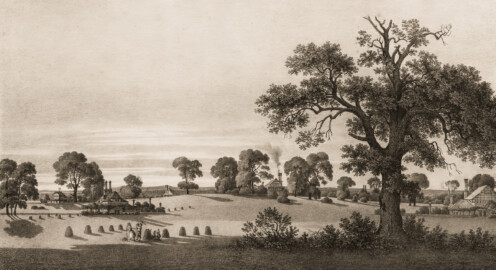 Schloss und Schlossgarten Schwetzingen - Muskauer Park: Blick von den Rennbahn auf die Kolonie Gobelin - Tafel 39 des Buchs "Hermann von Pückler-Muskau: Andeutungen über Landschaftsgärtnerei - Verbunden mit der Beschreibung ihrer praktischen Anwendung in Muskau - 1834" (Bildnachweis: https://doi.org/10.11588/diglit.1669, gemeinfrei) Schloss und Schlossgarten Schwetzingen - Muskauer Park: Blick von den Rennbahn auf die Kolonie Gobelin - Tafel 39 des Buchs "Hermann von Pückler-Muskau: Andeutungen über Landschaftsgärtnerei - Verbunden mit der Beschreibung ihrer praktischen Anwendung in Muskau - 1834" (Bildnachweis: https://doi.org/10.11588/diglit.1669, gemeinfrei)