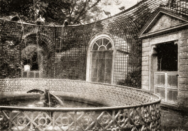 Schloss und Schlossgarten Schwetzingen - Wasserspeiende Vögel - (Bildnachweis: Seite 29 im Buch: "Otto Schwarz (Hg.): Wegweiser durch Schwetzingen's Schlossgarten - Vollständiger Katalog aller Sehenswürdigkeiten - 11. Auflage - ca. 1914" - Reproduktion durch Dr. Manfred Schneider, Juli 2026) Schloss und Schlossgarten Schwetzingen - Wasserspeiende Vögel - (Bildnachweis: Seite 29 im Buch: "Otto Schwarz (Hg.): Wegweiser durch Schwetzingen's Schlossgarten - Vollständiger Katalog aller Sehenswürdigkeiten - 11. Auflage - ca. 1914" - Reproduktion durch Dr. Manfred Schneider, Juli 2026)