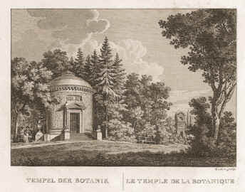 Schloss und Schlossgarten Schwetzingen - Tafel "Tempel der Botanik" - Auszug aus "Johann Michael Zeyher: Der Schwetzinger Garten - In malerischen Ansichten gezeichnet - Mannheim - ca. 1830" - Universitätsbibliothek Heidelberg - https://doi.org/10.11588/diglit.1437#0006 - Public Domain