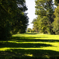 Schloss und Schlossgarten Schwetzingen - Garten - Anlagen - Weitere Bäume - Von Osten - Blick von der Querachse beim Apollotempel nach Westen auf Bäume und auf eine Sichtachse; im Vordergrund der Kanal entang der Querachse (aufgenommen im September 2023, am Nachmittag)