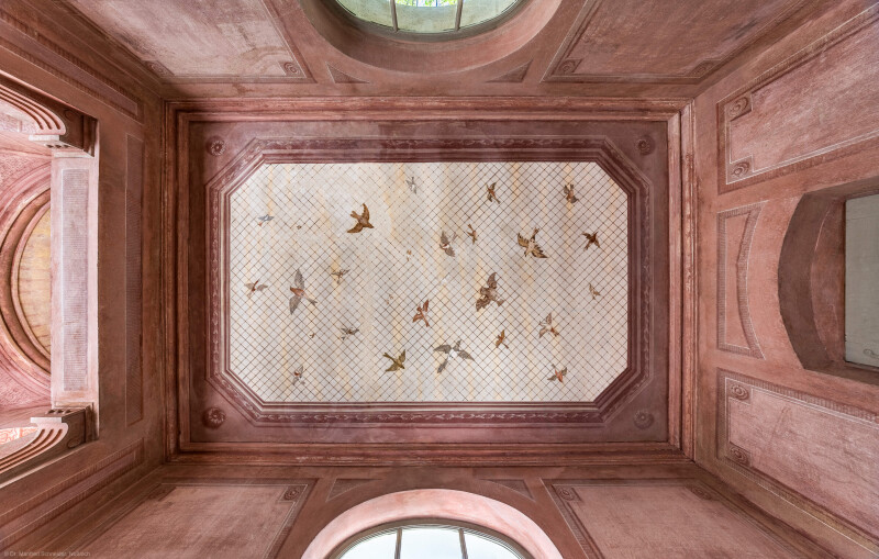 Schloss und Schlossgarten Schwetzingen - Garten - Badhausanlage - Perspektiv - Westlicher Flügel - Von unten - Zentraler Blick von der Mitte der westlichen Halle nach oben auf drei Wände und die Decke; an der Decke die Illusion einer Voliere: ein Gitter, unter dem etliche fliegende Vögel zu sehen sind, darüber ein bewölkter Himmel; Decke und Wände sind mit gemalten rechteckigen Feldern gegliedert, die Ecken tragen Rosettenschmuck; links (östlich) die zentrale Halle, rechts der westliche Eingang, (Perspektiv: Abmessungen Länge x Breite x Höhe: Laubengang ca. 40 x 3,5 x 4,5 Meter, Bau ca. 16 x 4,5 bis 11 x 6,5 Meter, Bildwand ca. 9 x 1 x 7,5 Meter; Fertigstellung: 1775, Gesamtinstandsetzung: 1988-1991, Restaurierung Laubengang: 2022; Architekt: Nicolas de Pigage) (aufgenommen im April 2026, am frühen Nachmittag)